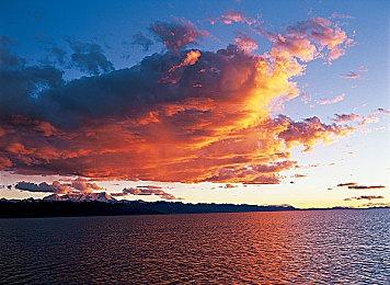 十一月新游一览 《极限竞速地平线5》《战地2042》